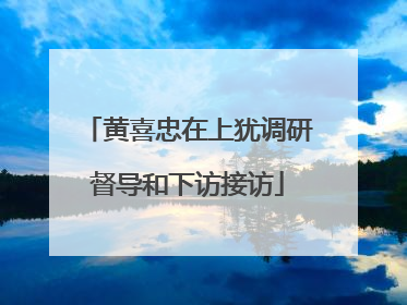 黄喜忠在上犹调研督导和下访接访