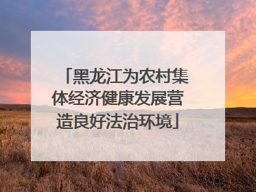 黑龙江为农村集体经济健康发展营造良好法治环境