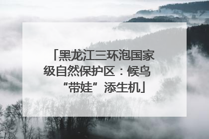 黑龙江三环泡国家级自然保护区：候鸟“带娃”添生机