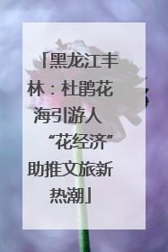 黑龙江丰林：杜鹃花海引游人 “花经济”助推文旅新热潮
