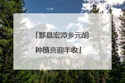 黟县宏潭乡元胡种植喜迎丰收