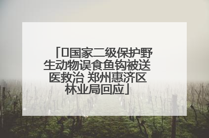 ﻿国家二级保护野生动物误食鱼钩被送医救治 郑州惠济区林业局回应