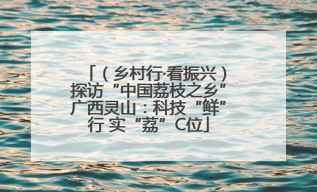 （乡村行·看振兴）探访“中国荔枝之乡”广西灵山：科技“鲜”行 实“荔”C位