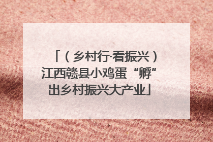 （乡村行·看振兴）江西赣县小鸡蛋“孵”出乡村振兴大产业