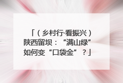 （乡村行·看振兴）陕西留坝：“满山绿”如何变“口袋金”？