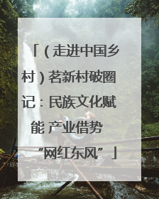 （走进中国乡村）茗新村破圈记：民族文化赋能 产业借势 “网红东风”
