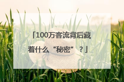 100万客流背后藏着什么“秘密”？