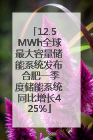 12.5MWh全球最大容量储能系统发布 合肥一季度储能系统同比增长425%
