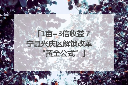 1亩=3倍收益？宁夏兴庆区解锁改革“黄金公式”