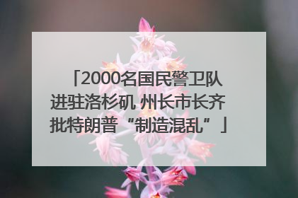 2000名国民警卫队进驻洛杉矶 州长市长齐批特朗普“制造混乱”
