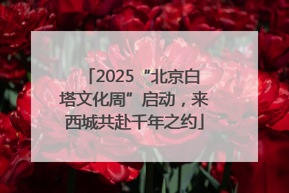 2025“北京白塔文化周”启动，来西城共赴千年之约