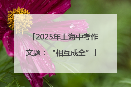 2025年上海中考作文题：“相互成全”