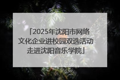 2025年沈阳市网络文化企业进校园双选活动走进沈阳音乐学院