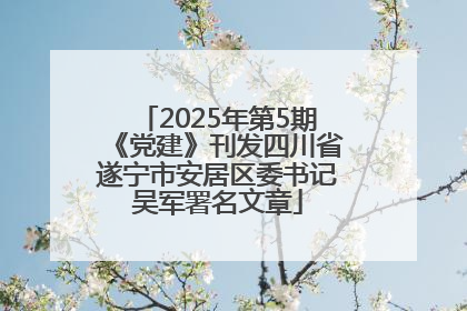 2025年第5期《党建》刊发四川省遂宁市安居区委书记吴军署名文章