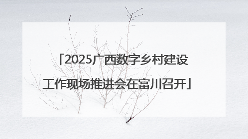 2025广西数字乡村建设工作现场推进会在富川召开