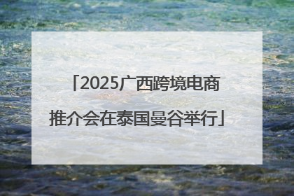 2025广西跨境电商推介会在泰国曼谷举行