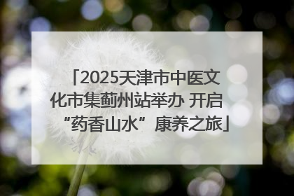 2025天津市中医文化市集蓟州站举办 开启“药香山水”康养之旅