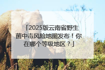2025版云南省野生菌中毒风险地图发布！你在哪个等级地区？