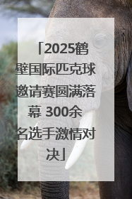 2025鹤壁国际匹克球邀请赛圆满落幕 300余名选手激情对决