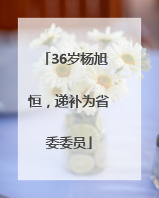 36岁杨旭恒，递补为省委委员