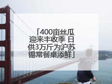 400亩丝瓜迎来丰收季 日供3万斤为沪苏锡常餐桌添鲜