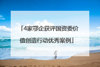 4家鄂企获评国资委价值创造行动优秀案例