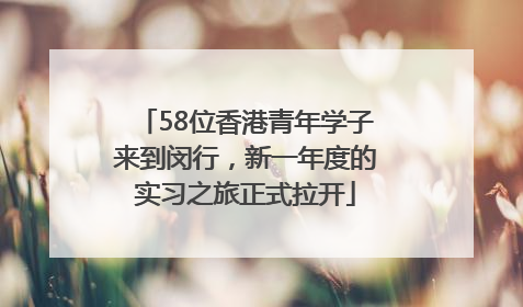 58位香港青年学子来到闵行，新一年度的实习之旅正式拉开