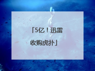 5亿！迅雷收购虎扑