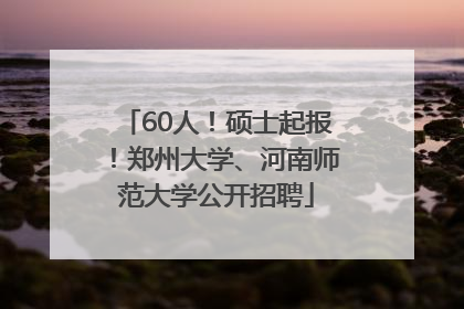 60人！硕士起报！郑州大学、河南师范大学公开招聘