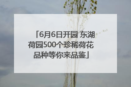 6月6日开园 东湖荷园500个珍稀荷花品种等你来品鉴