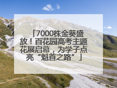 7000株金葵盛放！百花园高考主题花展启幕，为学子点亮“魁首之路”