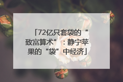 72亿只套袋的“致富算术”：静宁苹果的“袋”中经济