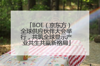 BOE（京东方）全球供应伙伴大会举行，共筑全球显示产业共生共赢新格局