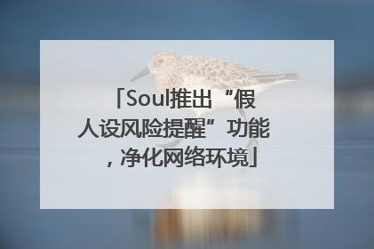 Soul推出“假人设风险提醒”功能，净化网络环境