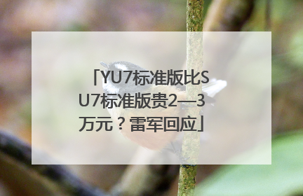 YU7标准版比SU7标准版贵2—3万元？雷军回应